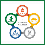 5 Elements Wellness, LLC