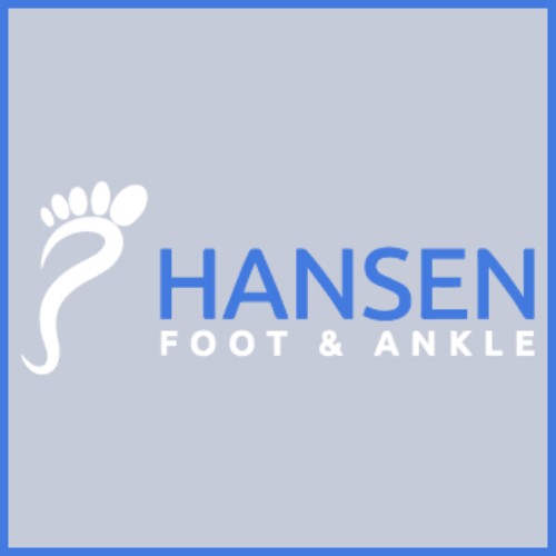 Hansen500x500