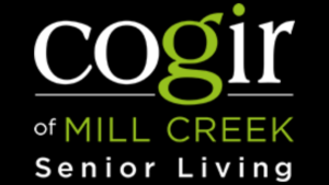 Cogir1200x675 300x169