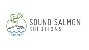 SoundSalmonSolution1200x675 300x169