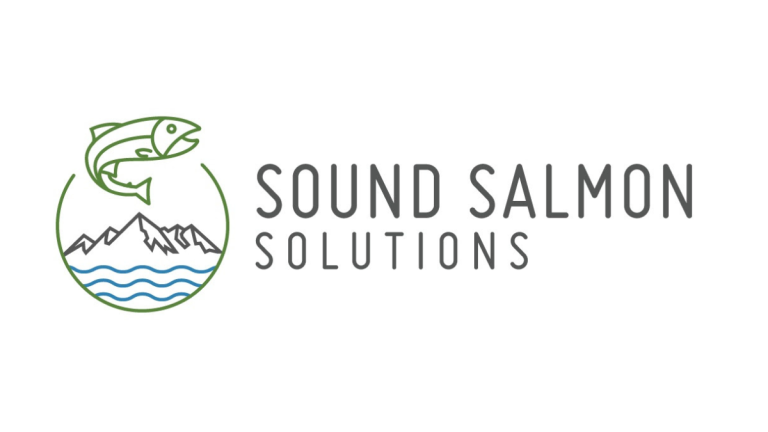SoundSalmonSolution1200x675 768x432