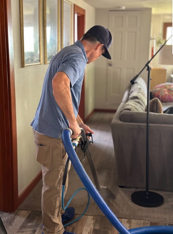 carpet cleaning