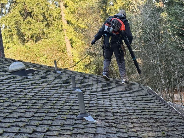 roof cleaning Seward Park 768x576