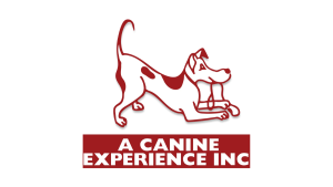 ACanine1200x675 300x169